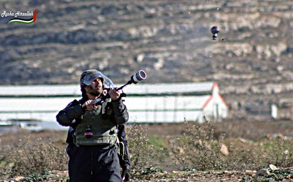 12250147_1022502521105135_8570738551137886538_n