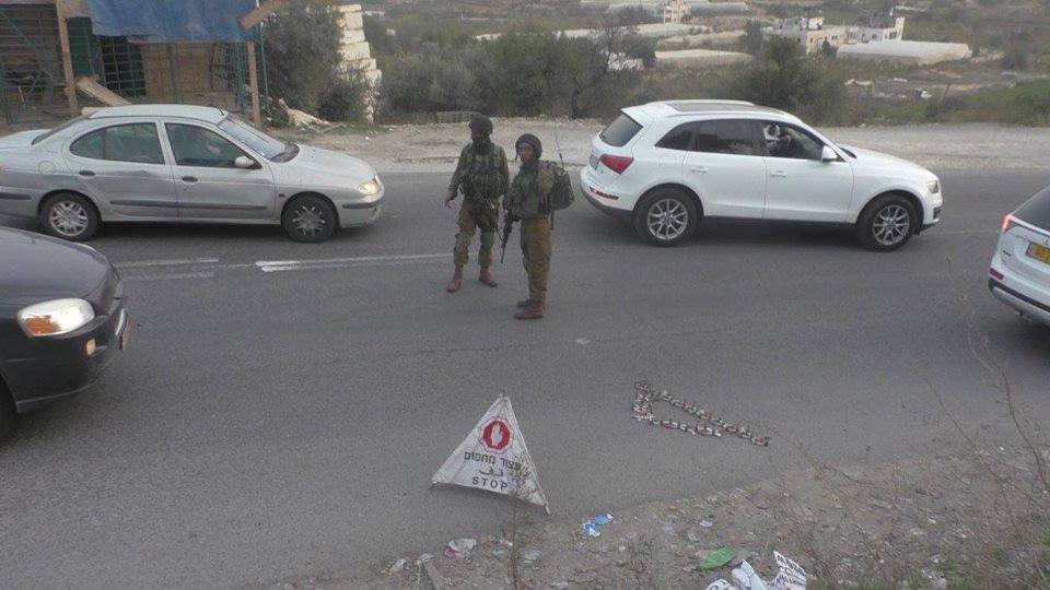 12246824_1022513227770731_637276615868731058_n