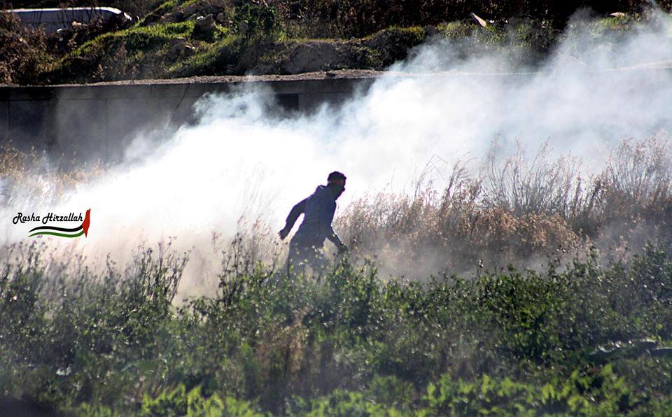 11988780_1022502534438467_2013036099803284654_n