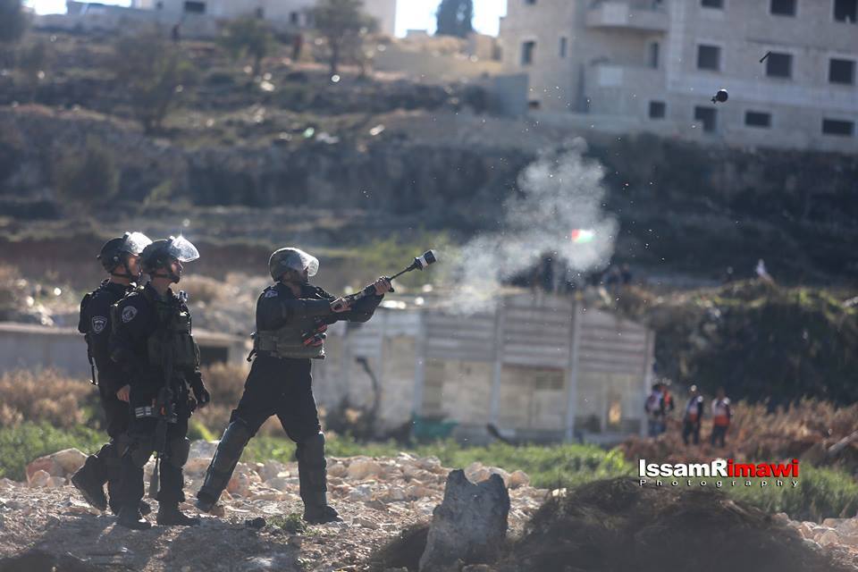 12243590_1022516621103725_2784843514274310957_n