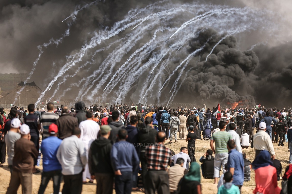 صورة ارشفية