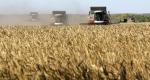 صادرات الحبوب الأوكرانية تتراجع 43 بالمئة في يونيو