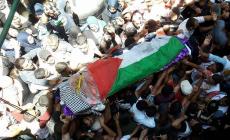 الشهيدة النجار