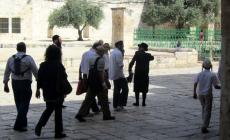 مستوطنون يقتحمون باحات المسجد الاقصى