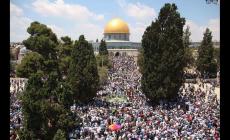 صورة ارشفية 