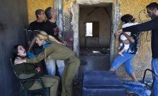 صورة ارشفية