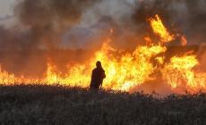 صور من حرق الكيبوتسات