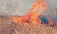 من حرائق الاحتلال