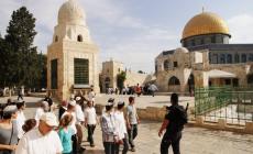 صورة ارشفية