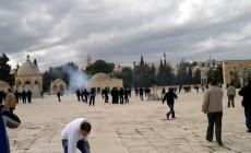 مستوطنون يقتحمون باحات الاقصى