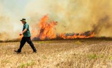 من حرائق سابقة