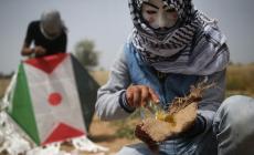 أبناء الزواري