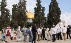 نفذت الاقتحامات تحت حراسة أمنية مشددة لقوات الاحتلال التي فرضت إجراءات مشددة على دخول الفلسطينيين للمسجد واستنفرت عناصرها بالقدس القديمة عشية ما يسمى 