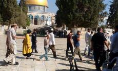 52 مستوطنا يقتحمون المسجد الأقصى 