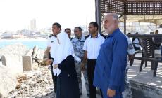 لجنة التقصي