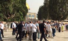 ألفا مستوطن اقتحموا الأقصى خلال نوفمبر