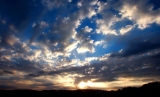 صورة ارشفية