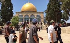 المسجد الأقصى شهد تواجدًا للمصلين من أهل القدس والداخل الفلسطيني المحتلين