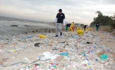 المخلفات البلاستيكية خطر يهدد الحياة البحرية بغزة