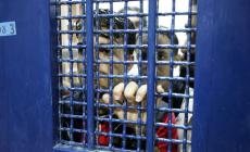 نقل أسيرين للمستشفى لتردي وضعهما الصحي