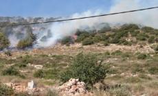 احتراق عشرات الدونمات الرعوية في الأغوار بسبب تدريبات الاحتلال