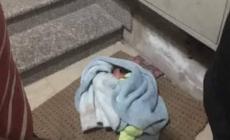 شرطة الخليل تعثر على رضيعة أمام بناية سكنية