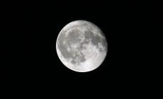 تعرف على 11 شركة تتنافس لتنظيم رحلة العودة إلى القمر