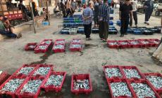 حسبة الصيادين بميناء غزة