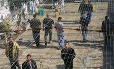 صورة "أرشيفية"