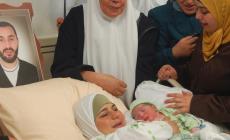 ارتفاع سفراء الحرية إلى 74 طفلًا