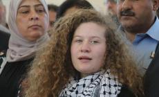 عهد التميمي