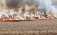 حرائق في منطقة كيسوفيم بفعل بالونات حارقة أطلقت من غزة (الاعلام العبري)
