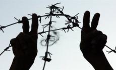 أكثر من 200 أسير بمعتقل "ريمون" يشرعون بإضراب مفتوح