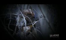 القسام تعلن رسميا عن "برومو دعائي" لفيلم "سراب"