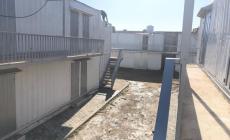 وزارة الصحة غزة.jpg