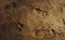 صورة توضيحية