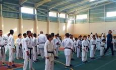 فريق الكاراتيه بالنادي