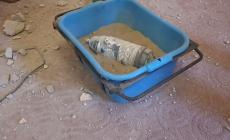 صورة القذيفة