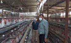 الاقتصاد تحرر 22 محضر ضبط لتجار مخالفين