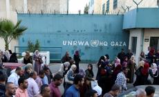  رابط فحص توزيع الكابونات الموحدة في غزة للدورة الجديدة  الرابط الرسمي لفحص الكابونات المتوحدة الأونروا لشهر5