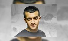 الاستشهادي محمود كميل