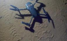 صورة الحوامة