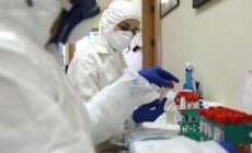 "كورونا" عالميا: أكثر من 3 ملايين و114 ألف وفاة و147 مليونا و124 ألف إصابة