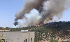 حريق ضخم في جبال القدس المحتلة