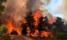 تجدد الحريق بجبال القدس المحتلة