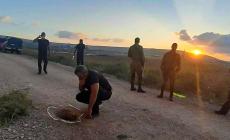 الحرية تٌنتزع انتزاعاً.. فلسطينيون تحدوا الاعتقال عبر التاريخ