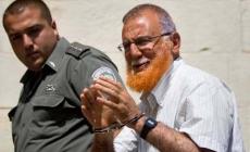 النائب أبو طير