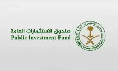 الاستثمارات السعودي