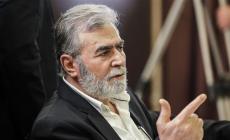 زياد النخالة