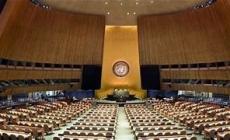 الجمعية العامة للأمم المتحدة.